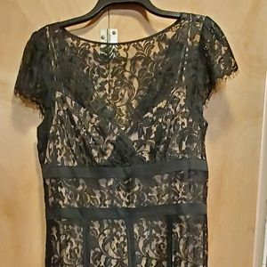 Ann Taylor lace dress size 12